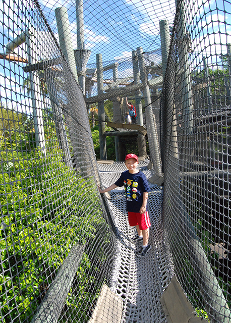 2012-04-08_20_Camp Jurassic_Walkways.jpg