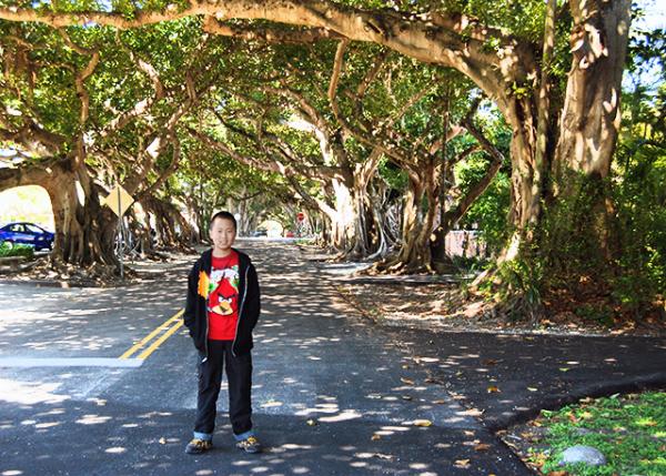 03-28-13_ Coral Gables_Banyan Tree-Canopied Streets ڸǵĽֵ-10001.JPG