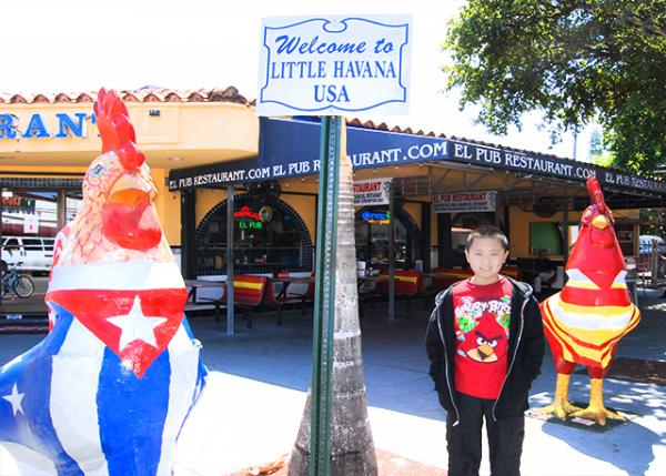 03-28-13_ Miami_Little Havana Roosters Сǹ10001.JPG