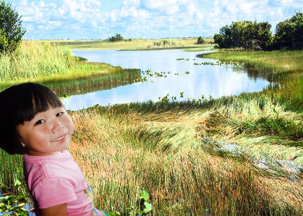 2014-08-09_Everglades NP_Peat of Decomposing Plant Matter & Marl of Dried Periphyton or Algae &  Microorganisms ֲֽ̿븡΢-10001.jpg