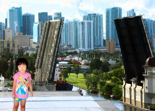 2014-08-09_Brickell Avenue Bridge in Miami ܡСŴ-10001.jpg