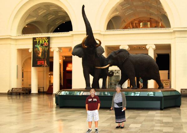 09-20-11_ Field Museum of Natural History-10001.JPG