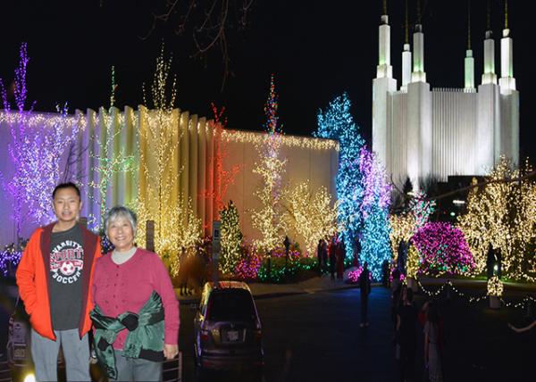 2015-12-27_Christmas Lights-10001.jpg