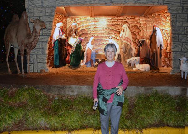 2015-12-27_Washington DC Temple_Nativity Scene Үս-50001.JPG