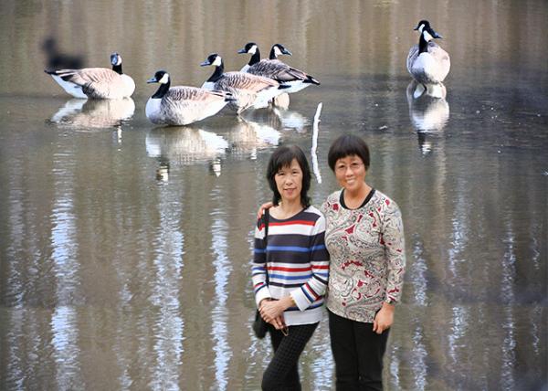 2015-12-27_07_Canadian Geese ô-10001.jpg