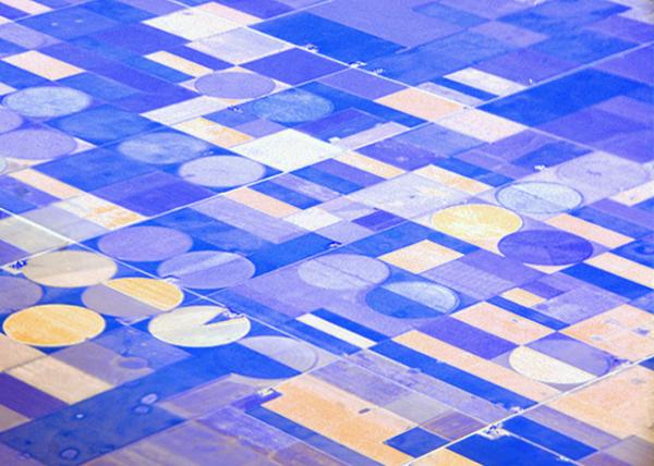 2016-12-24_Patchwork Farmland ߲ũ-30001.JPG
