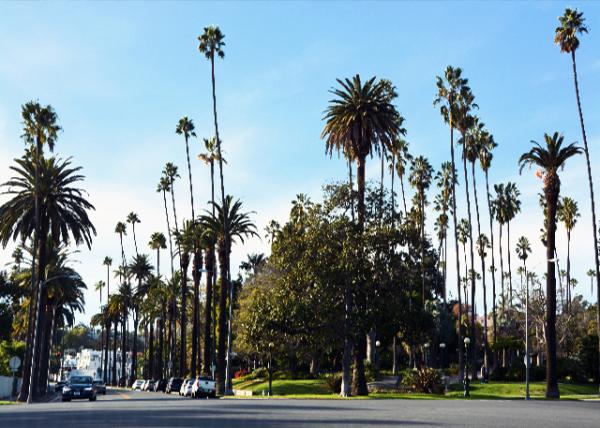 2016-12-25_Beverly Dr @ Rexford Dr ȷ׿˹µ-20001.JPG