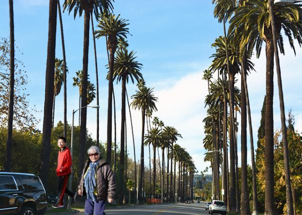 2016-12-25_Beverly Dr ȷ·-10001.jpg