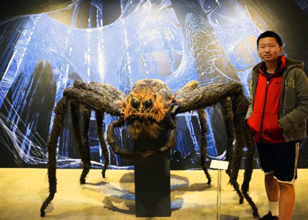 2016-12-27_Prop House_Harry Potter Giant Spider.jpg