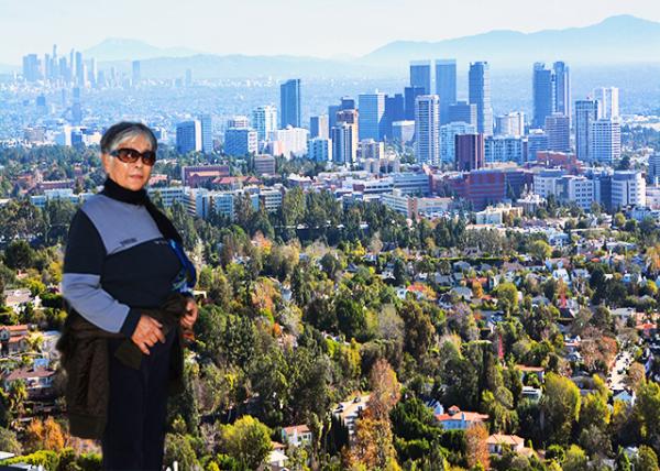 2016-12-28_Downtown LA (L) & Century City (R) ɼġҡͳ-10001.jpg