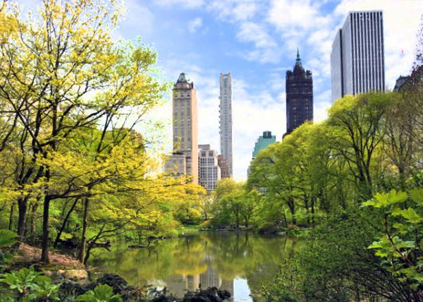 2024-04-27_Bldg_Hallett Nature Sanctuary in Front of the Pierre_ 520 Park Ave_ Sherry-Netherland Hotel_ & GM Bldg Viewed from the Pond0001.JPG