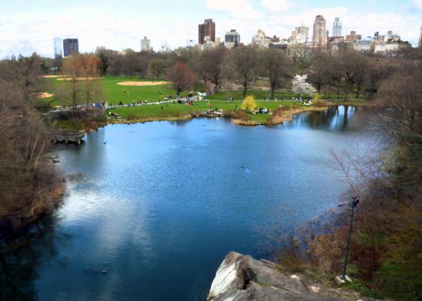 2024-04-06_Turtle Pond0001.JPG