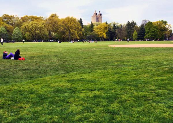 2024-04-27_Great Lawn0001.JPG