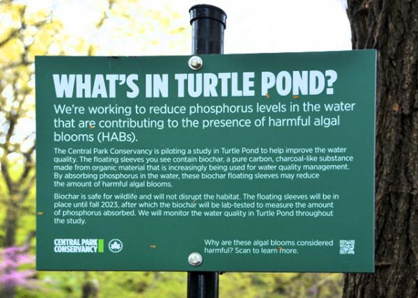 2024-04-27_Lake_Turtle Pond_Plaque0001.JPG