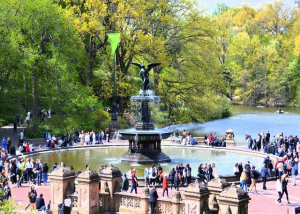 2024-04-27_Bethesda Fountain-10001.JPG