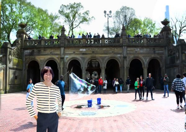 2024-04-27_A Sweeping Promenade (The Mall) Leading to a Grand Terrace Overlooking the Lake-10001.JPG