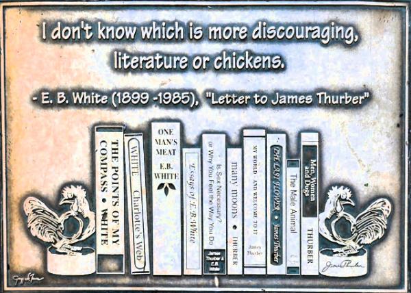 2024-10-19_159_E.B. White_Letter to James Thurber0001.JPG