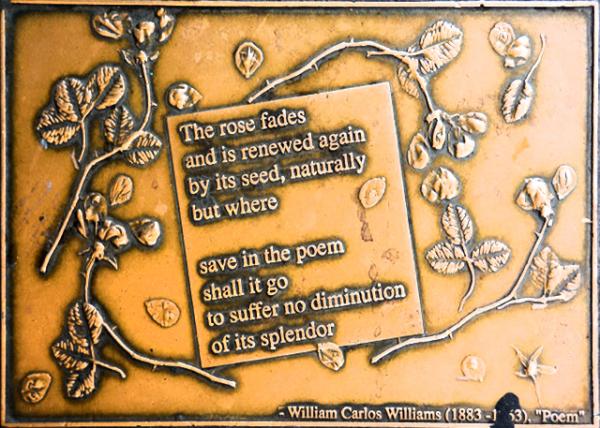 2024-04-27_Plague_06_William Carlos Williams0001.JPG