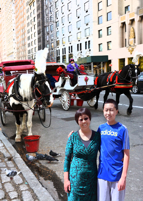 2016-04-30_Carriages @ 59th St-10001.JPG