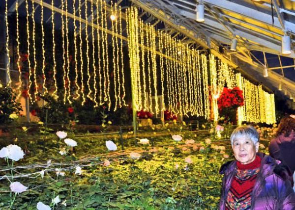 2017-01-01_Rose House õ֮0001.JPG