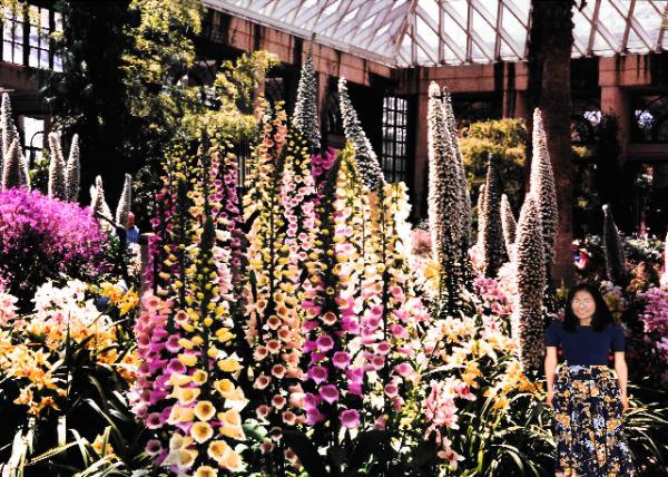 1999-05-01_Longwood Gardens_Lay's Grove.jpg