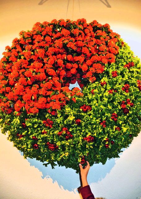 2017-01-01_Red & Green Wreath in Stark Relief ǿҶԱȵĺ̻0001.JPG