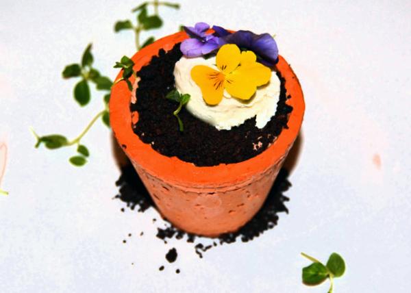 2017-01-01_Food_Flower Pot w Dark Chocolate Custard_ Chocolate Soil_ Woodside Farms Vanilla Ice Cream Ժɿ⡢ɿֱũݱ0001.JPG