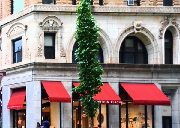 2022-09-25_903 Broadway_Design Within Reach w Façade0001.JPG