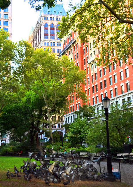 2022-09-25_Madison Sq Park across Former Croisic Bldg0001.JPG