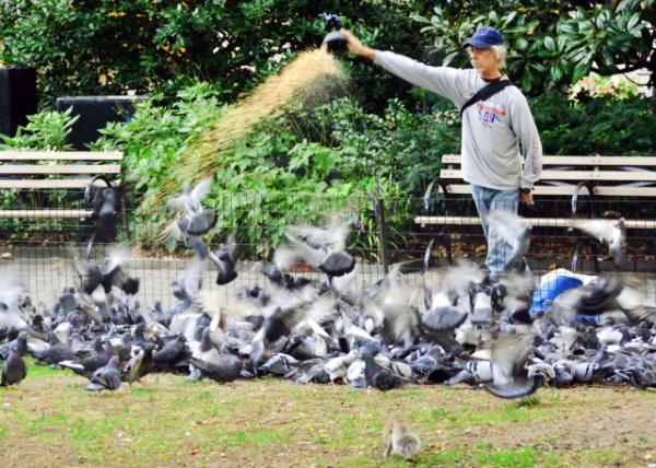 2022-09-25_Madison Sq Park_Pigenon Feeder-10001.JPG