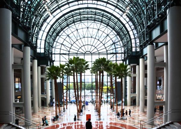2022-09-25_Winter Garden Atrium w 16 Palms of Washingtonia robusta Characteristic of a Narrow Trunk & Lush Foliage0001.JPG