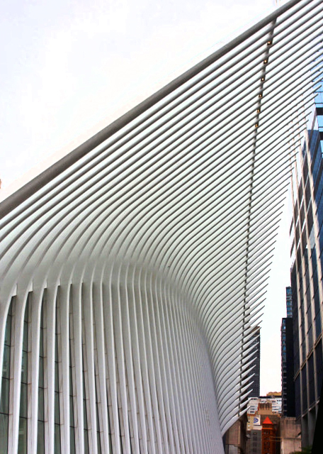 1761338907205563.jpg 2022-09-25_WTC Oculus_Ribs0001.JPG