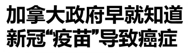 1761444293244319.png image.png