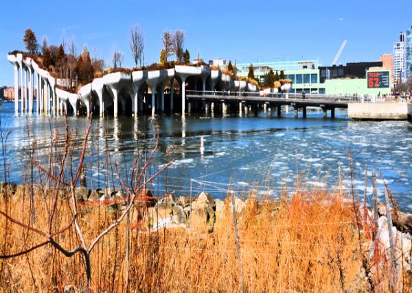 2025-02-22_21_A Leaf w Upturned Edges of Little Island Artificial Island Park in Hudson River0001.JPG