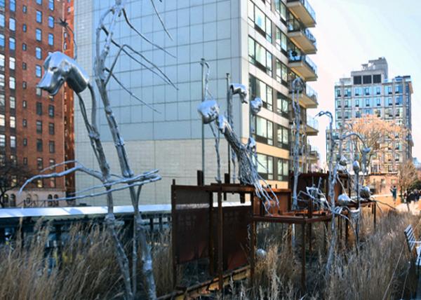 2025-02-22_16_Giulia Cenci Secondary Forest 20240001.JPG