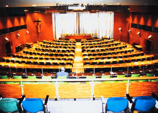 UN_Economic and Social Council ECOSOC Concerning Account for a Major Share of the Activiities of the Entire UN System and Its Resources0001.JPG