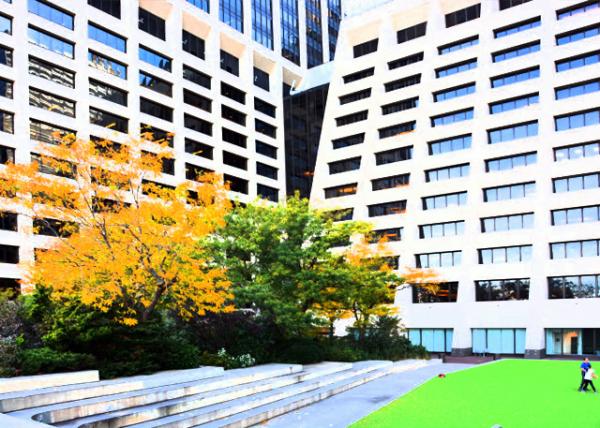 2022-10-22_Elevated Acre_ Precisely a one-acre meadow flanked by delightfully designed gardens and plantings elevated above the city streets0001.JPG