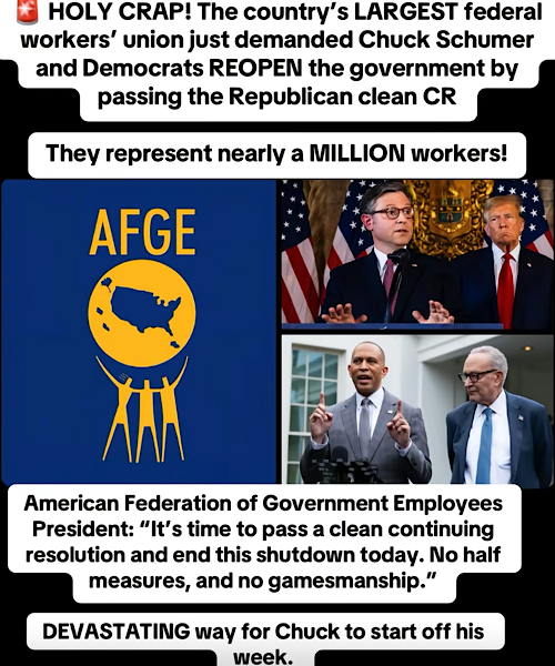 1761662853491408.png IMG_4963.png