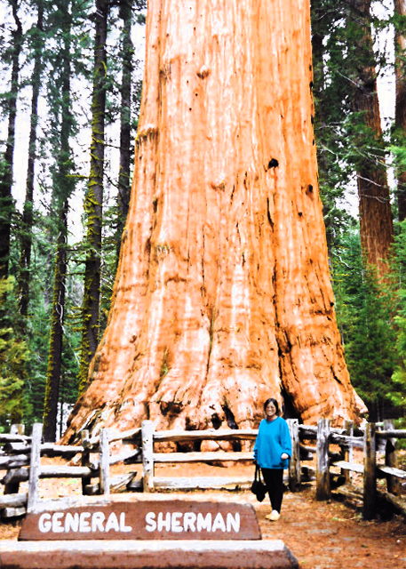 1761705117596598.jpg 1995-06-05_Sequoia National Park0001.JPG