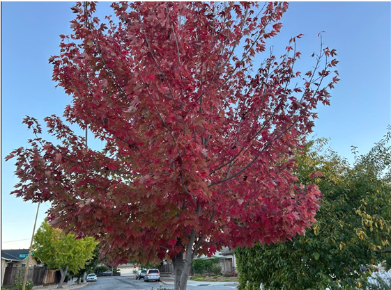 1761706850849530.png image.png