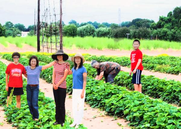 2012-06-17_Strawberry Field @ Shady Brook Farm0001.JPG