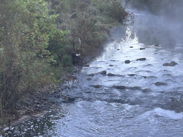 1761753801746899.jpg IMG_3507.JPG