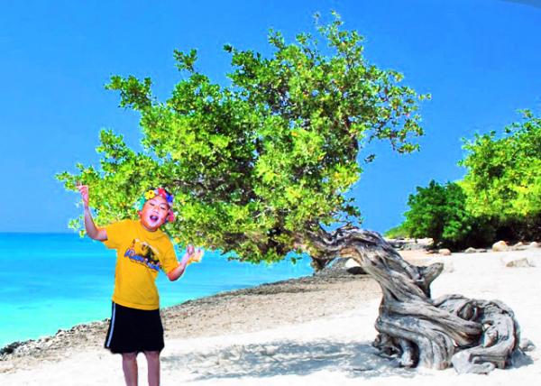 01-26-09_Divi-Divi Tree @ Eagle Beach ӥ̲ܿʵ-10001.jpg