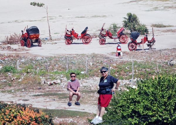 01-27-09_ Cityscape_Horse Drawn Carriage -10001.jpg