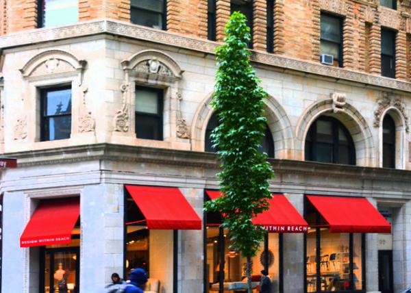 2022-09-25_903 Broadway_Design Within Reach-20001.JPG