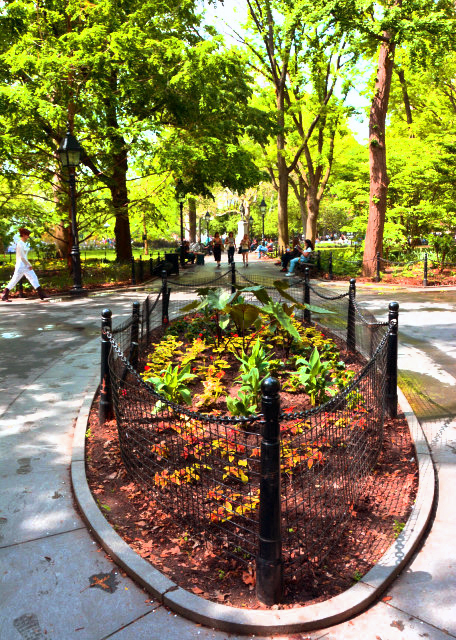 2022-05-16_Canopy Tree0001.JPG