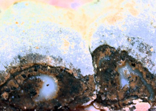 2016-06-22_Food_Fried Chop Rice Cake ¿0001.JPG