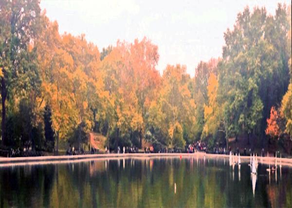 2015-10-24_The Pond and Hallett Nature Sanctuary �����͹�������Ȼ������-10001.jpg