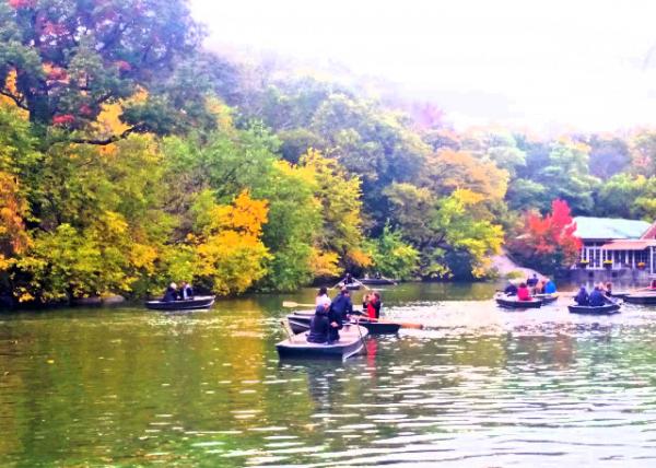 2015-10-24_Conservatory Water ģ�ʹ�����0001.JPG