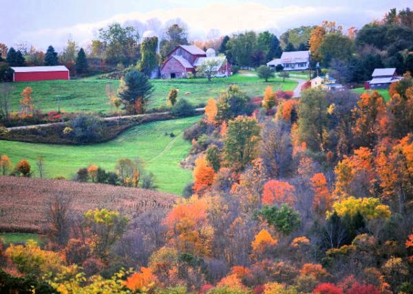 10-08-12_ Folliage in Upstate NY ŦԼҶ-30001.JPG